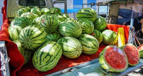 平乡网红吃瓜事件真相,真相背后的网络狂欢与反思